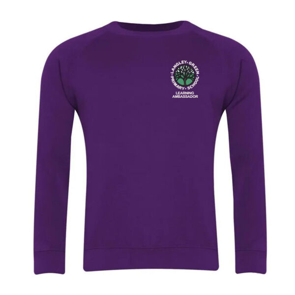 Learning Ambassador Sweatshirt Thumbnail